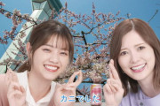 【元乃木坂46】白石麻衣×西野七瀬 神コンテンツ！『バーチャルお花見』動画いっぱい公開！【スーパードライ】