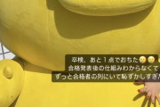 【悲報】藤園麗ちゃま、免許の試験に落ちる