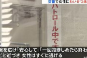 【東京】「１回抱きしめたら終わり」交番で女性にわいせつ未遂　中国籍の男逮捕