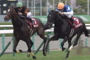 【競馬】大阪杯フルゲート割れ