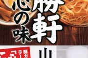 【画像】『大勝軒』とかいう定期的に猛烈に食いたくなるこれでいいんだよ系の頂点ラーメン屋さん