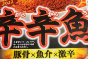 【今年も来た！】カップ麺の辛辛魚を早速食べたぞ！！！