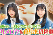 【日向坂46】ひなの＆陽世出演の『しずおかごはんが食べたい』を観て思った