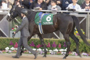 【競馬予想】第42回中山牝馬ステークス(GⅢ) /2024