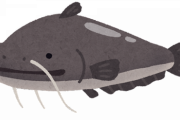 ウナギの代わりになれるポテンシャルを秘めた魚って他にも絶対おるやろ