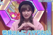 【日向坂46】かとしが卒業する時の若林さんの一言...