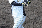 阪神・井上、フリー打撃で８８スイング中１２本の柵超え