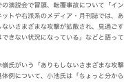 リアルちょっと何言ってるかわからない　〜　共産党赤嶺氏「辺野古関連でありもしない攻撃を受けている！」記者「例えば？」小池氏「分からない」