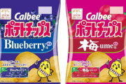【悲報】カルビーのポテチ、気が狂ってる味を出してしまう…