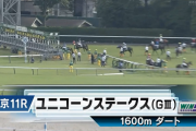 【ユニコーンS】ペリエール＆ルメール騎手がｷﾀ━━━━(ﾟ∀ﾟ)━━━━!!