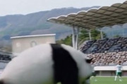 サッカーW杯グループL第3節、日本はスウェーデンと1-1で引き分け。決勝T進出！　中国人「今の日本はブラジルに勝てるのでは？」「あの国は厳しくなった」