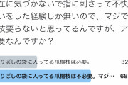 論破王ひろゆき、割りばしと一緒に入ってる爪楊枝を論破wwwwwwwwwwwwwwwwwww