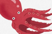 【Ｃ:。ミ】タコの一生が壮絶過ぎて笑えん･･･