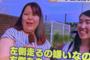 【悲報】美女さん、車で煽られ困惑………お前ら最低だな………………
