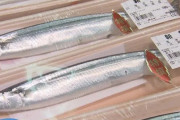【秋の味覚】サンマ、2021年も不漁。過去最低を下回る。