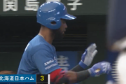 【速報】日本ハム、逆転に成功する！！！アルカンタラが犠牲フライ