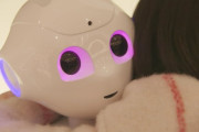 ペッパーくんとかいうガチで寿司屋しか有効活用できなかったポンコツロボットｗｗｗｗｗ
