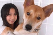 【衝撃】NMB48坂本理紗ちゃんちの犬がデカ過ぎるｗｗｗ