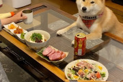 おっさん「晩酌するか…」犬「！」ｼｭﾊﾞﾊﾞﾊﾞﾊﾞﾊﾞ