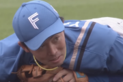 日本ハムファイターズの二遊間ｗｗｗｗｗｗ