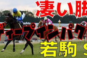 ディープの若駒を見たんだけど、こんなのに勝てる馬なんているの？