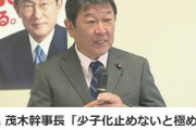 自民 茂木幹事長「少子化止めないと極めて深刻な状況に」