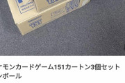 【悲報】ポケカが入ってたダンボール、何故か１万円で売られる…一体何に使うつもりなのか…？
