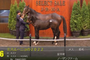 【セレクトセール2022】ミスエーニョの2022、シャンパンエニワンの2022が落札
