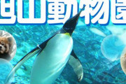 【つらい】北海道・旭山動物園、動物たちのエサ代などが賄えないため大人の入園料が1,000円に値上げに・・・誰か助けて