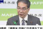 江藤農林水産大臣｢備蓄米､地方の中小のスーパーまで行き渡っていないかも｡均等に行き渡る工夫しなければならない｣