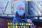 【日本終了】ひろゆき「有権者が少子化対策を望んでない。与党は少子化対策しない」