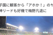 【悲報】ドラ1大物外野手伊藤隼太さん、阪神ファンのヤジにブチギレ