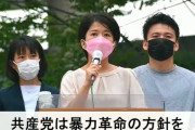 日本共産党・酒井和香子「テレビのコメンテーターのせいで暴力革命を行う政党だと誤解されている」