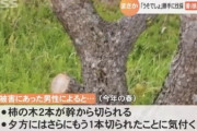 【悲報】鉄道博士「撮り鉄が私有地の木を切った？そんなとこに木を植える人間が悪いのでは？」→批判殺到