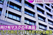 【危険】政府が妊婦向けに配った布マスク、不良品が6700枚にも及ぶ異常事態！発注先は非公表！　「髪の毛や虫が混入」「廃棄用ガーゼの流用疑惑も」