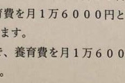 「養育費は月1万6千円です」小児がんの息子を看病する女性を絶望の底に突き落とした通告　「父の日」が襲う恐怖とは…