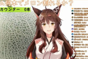 フミさんの謎企画”輪ゴムでメロンを割る”『メロンが悲鳴を上げてて笑った』【Vtuber】