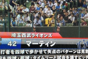 【西武】マーティン、選手紹介文でイジられるwwwww
