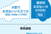 残クレで身の丈に合わない車乗ってるやつwww