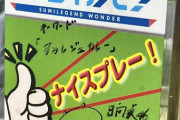 【日向坂46】レジェわんの守備範囲ｗｗｗｗｗｗｗｗｗｗｗｗ