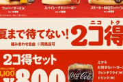 【朗報】バーガーキングさん、バーガー2個500円キャンペーン開始！あのワッパーも注文OK?