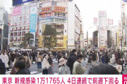 東京コロナ感染者1万1765人！新たな冠状動脈性肺炎確認か❓❗