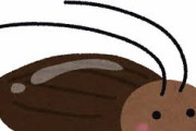 彡(●)(●)「ゴキブリを嫌ってるのはまんさんだよ」