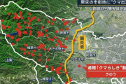 東京も徐々にクマ軍に押され始めてる