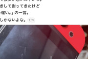 【悲報】子育てママさん、言うことを聞かなかった娘のSwitchを破壊し号泣😭