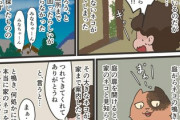 【迷子】なんだよこの漫画ｗｗｗ【注意】