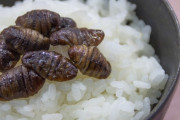昆虫食←これが結局流行らないまま消えた理由って何？