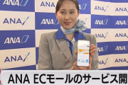 【悲報】ANA「サービス向上で空港の表示案内を撤去します。これからはアプリをお使い下さい?」