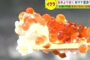 【超朗報】鮭イクラ、豊漁！！！