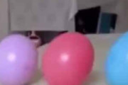 【イヌ】 風船が並んでいた。ヘアゴムをえいっ！ → 器用な犬はこうします…
